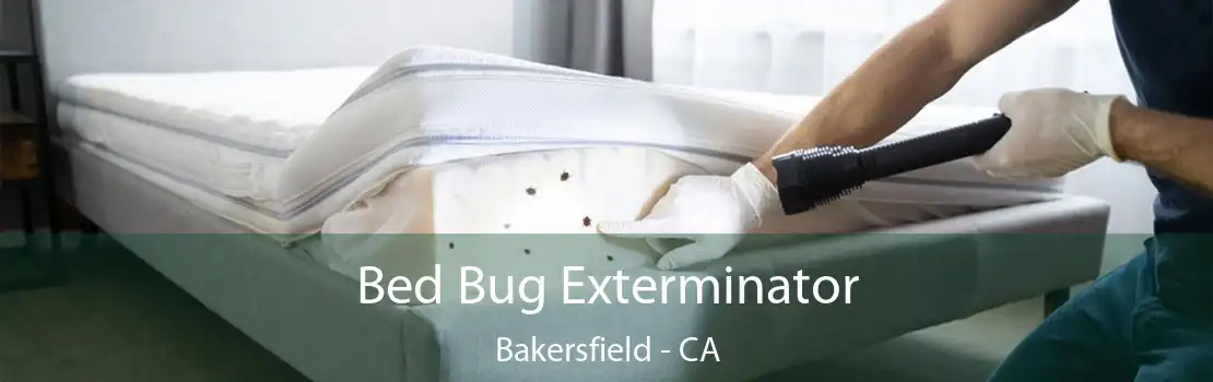 Bed Bug Exterminator Bakersfield - CA