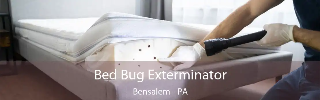 Bed Bug Exterminator Bensalem - PA