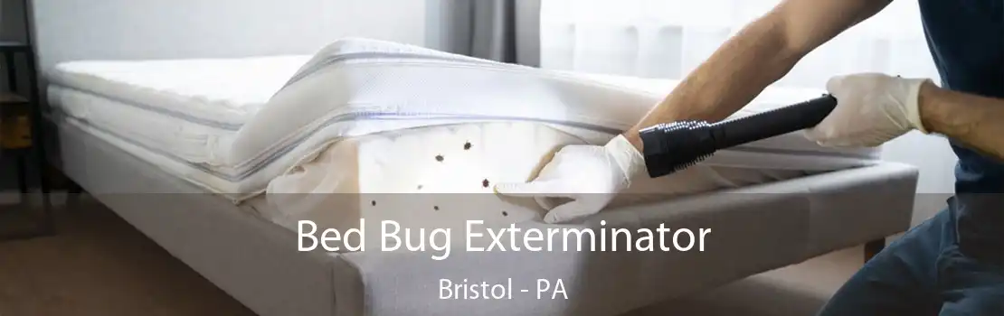 Bed Bug Exterminator Bristol - PA