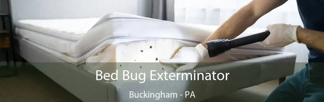 Bed Bug Exterminator Buckingham - PA