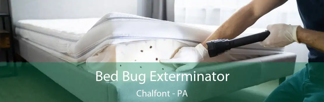 Bed Bug Exterminator Chalfont - PA