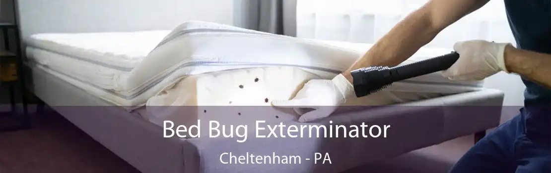 Bed Bug Exterminator Cheltenham - PA