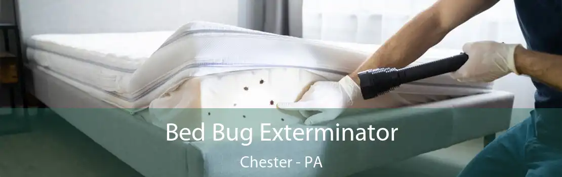 Bed Bug Exterminator Chester - PA