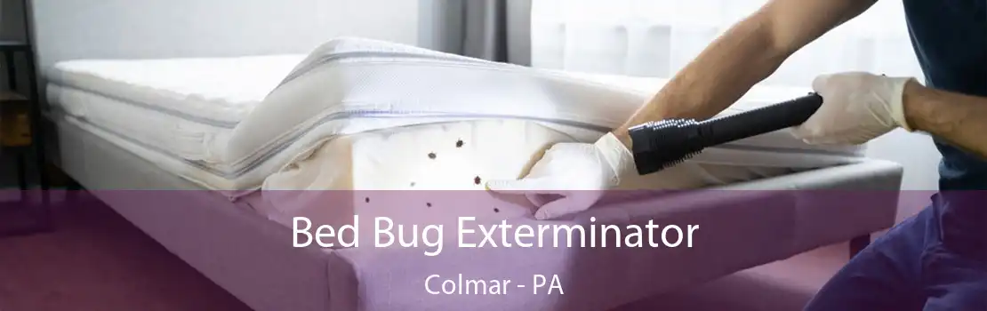 Bed Bug Exterminator Colmar - PA