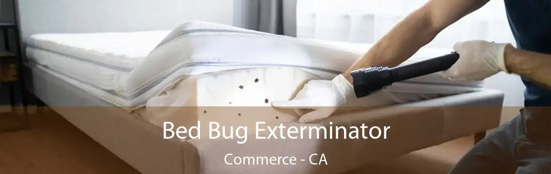 Bed Bug Exterminator Commerce - CA