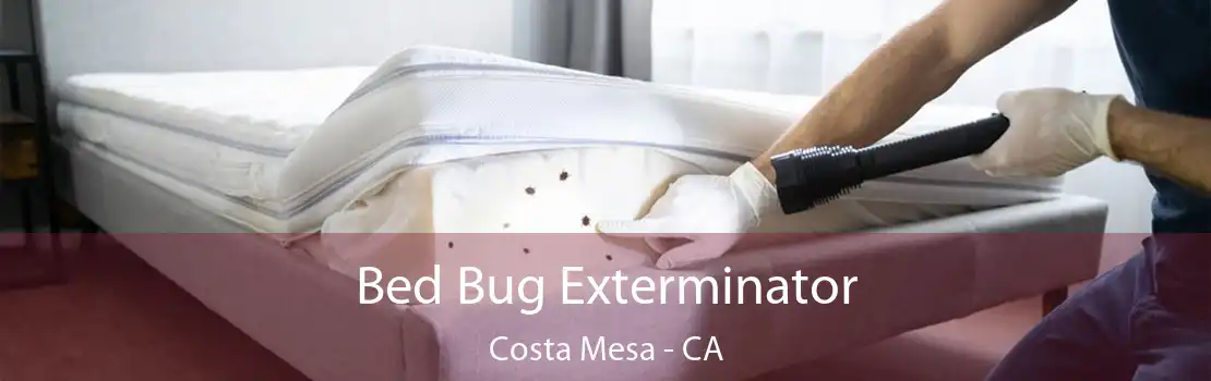 Bed Bug Exterminator Costa Mesa - CA