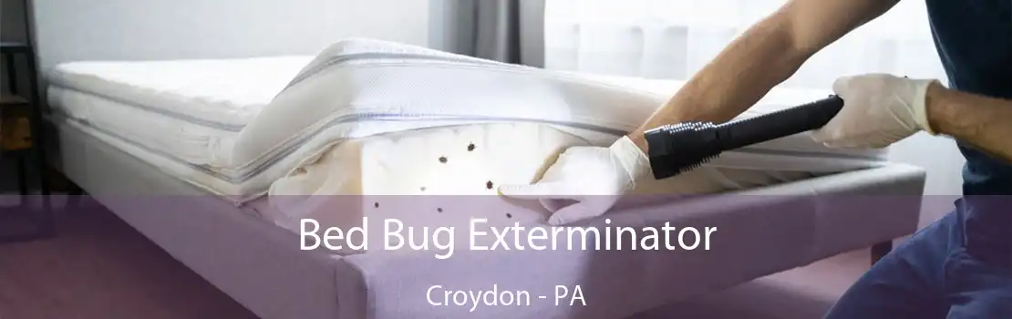 Bed Bug Exterminator Croydon - PA