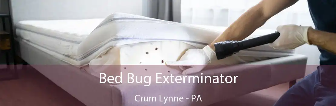 Bed Bug Exterminator Crum Lynne - PA