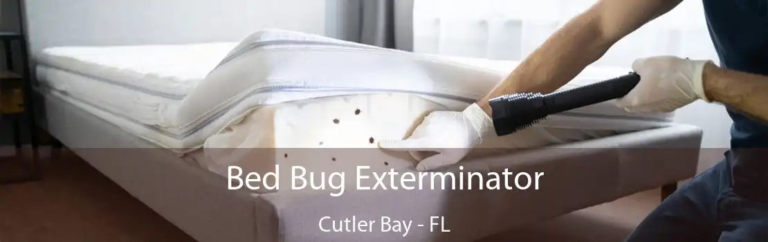 Bed Bug Exterminator Cutler Bay - FL