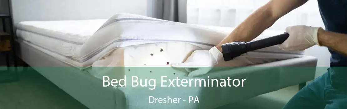 Bed Bug Exterminator Dresher - PA