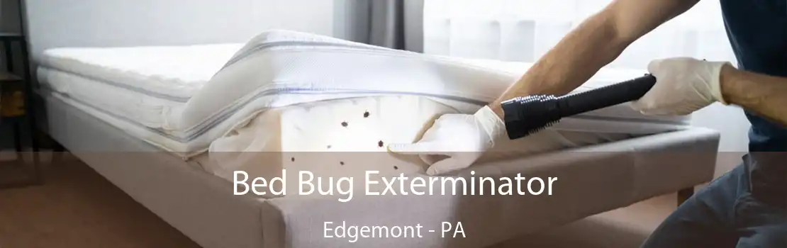 Bed Bug Exterminator Edgemont - PA