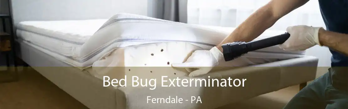 Bed Bug Exterminator Ferndale - PA