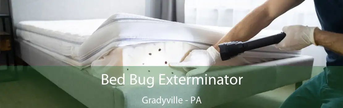 Bed Bug Exterminator Gradyville - PA