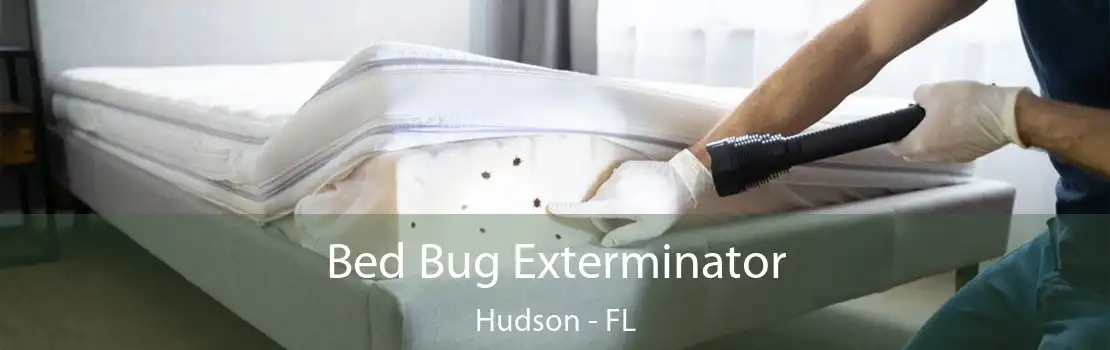 Bed Bug Exterminator Hudson - FL