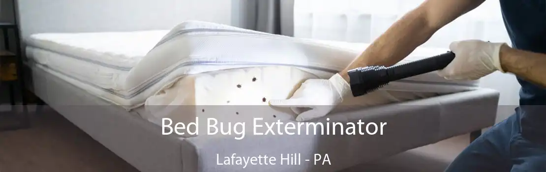 Bed Bug Exterminator Lafayette Hill - PA