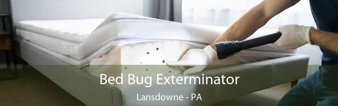 Bed Bug Exterminator Lansdowne - PA