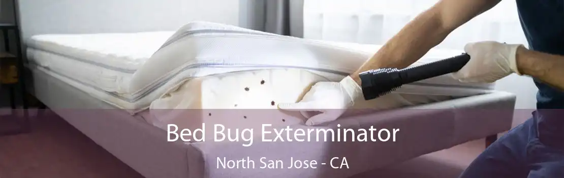 Bed Bug Exterminator North San Jose - CA