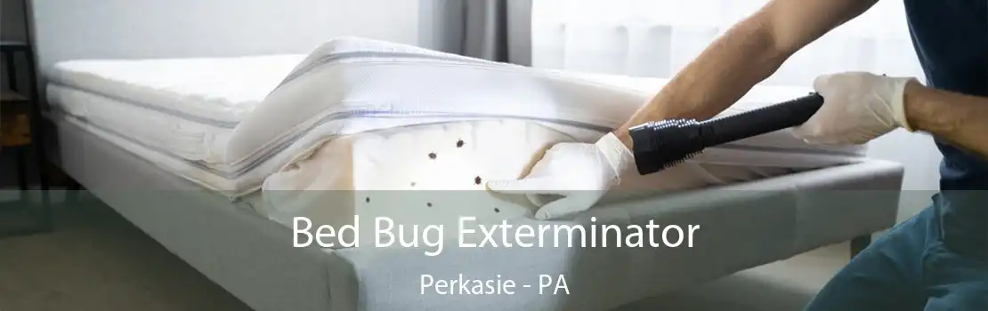 Bed Bug Exterminator Perkasie - PA