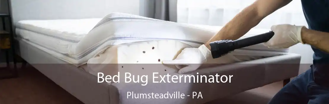 Bed Bug Exterminator Plumsteadville - PA