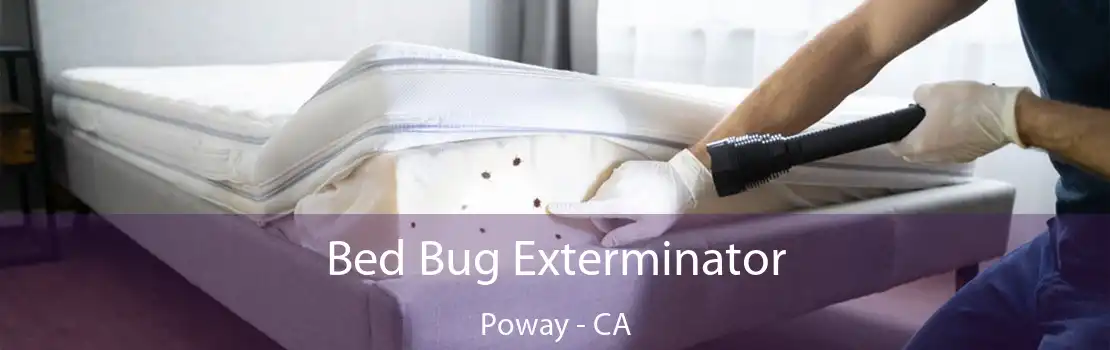 Bed Bug Exterminator Poway - CA