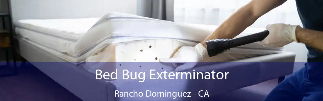Bed Bug Exterminator Rancho Dominguez - CA
