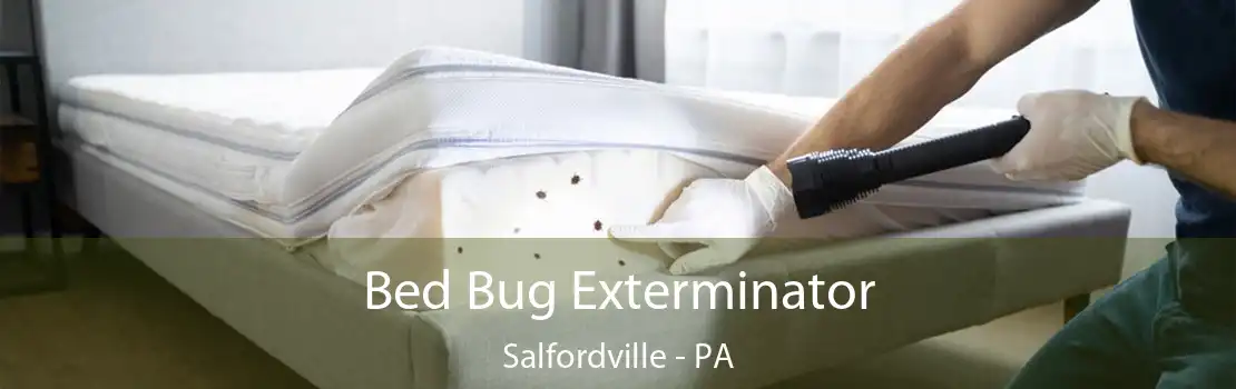 Bed Bug Exterminator Salfordville - PA