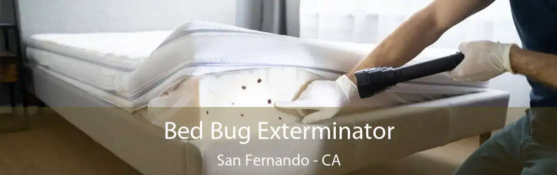 Bed Bug Exterminator San Fernando - CA