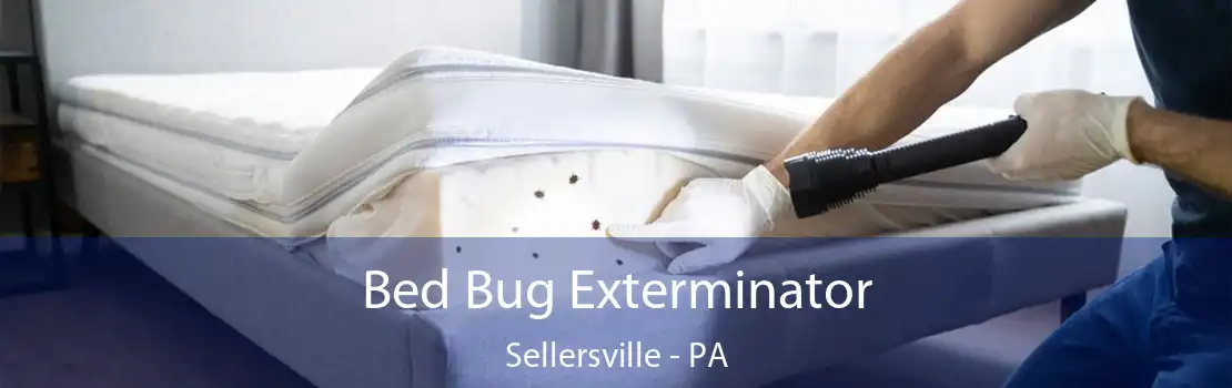 Bed Bug Exterminator Sellersville - PA