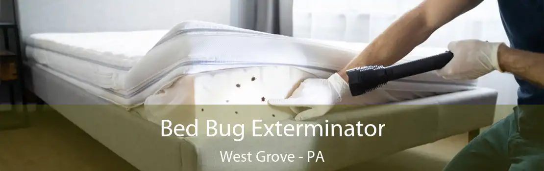 Bed Bug Exterminator West Grove - PA