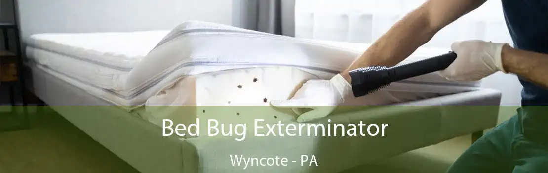 Bed Bug Exterminator Wyncote - PA