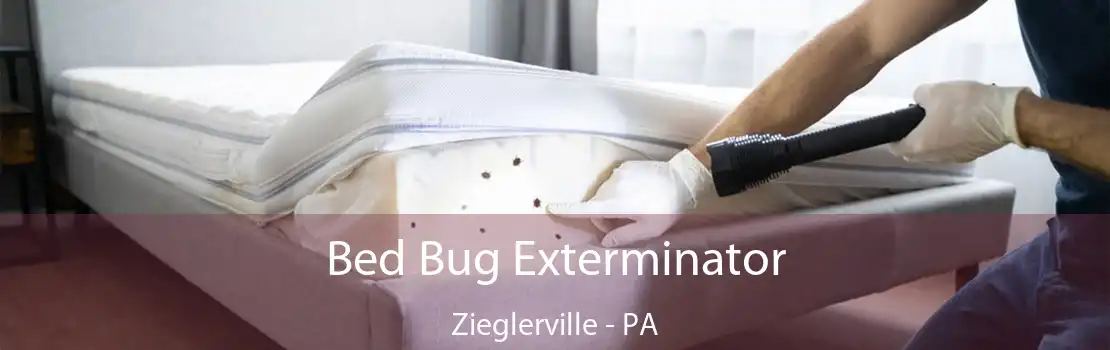 Bed Bug Exterminator Zieglerville - PA