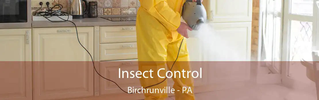 Insect Control Birchrunville - PA