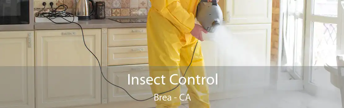 Insect Control Brea - CA