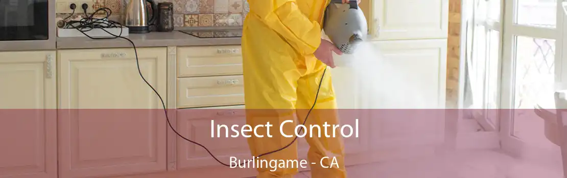 Insect Control Burlingame - CA