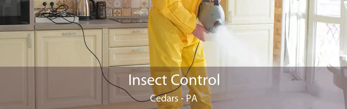 Insect Control Cedars - PA