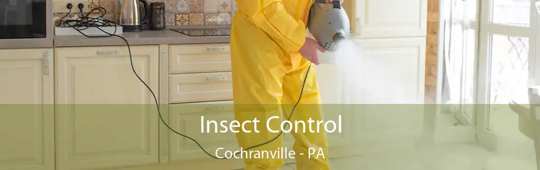 Insect Control Cochranville - PA