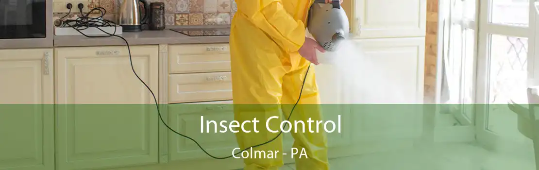 Insect Control Colmar - PA