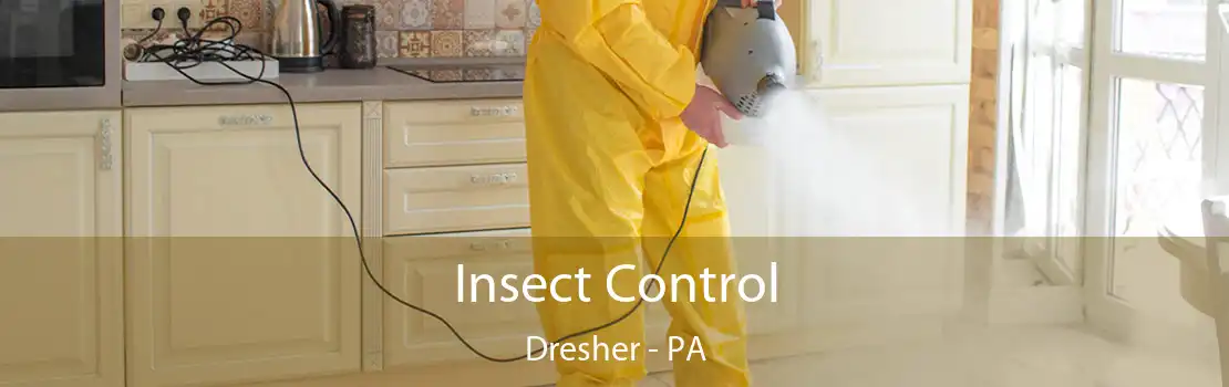 Insect Control Dresher - PA
