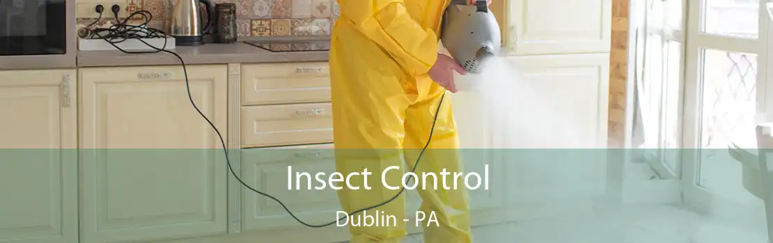 Insect Control Dublin - PA