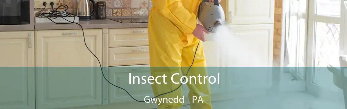 Insect Control Gwynedd - PA