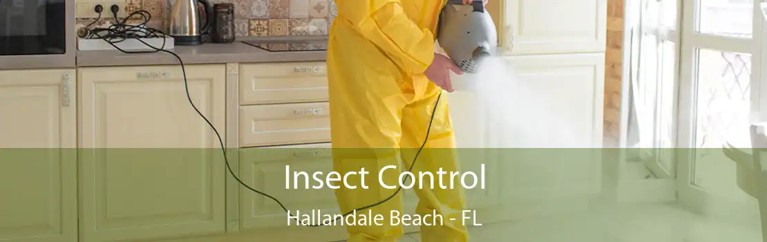 Insect Control Hallandale Beach - FL