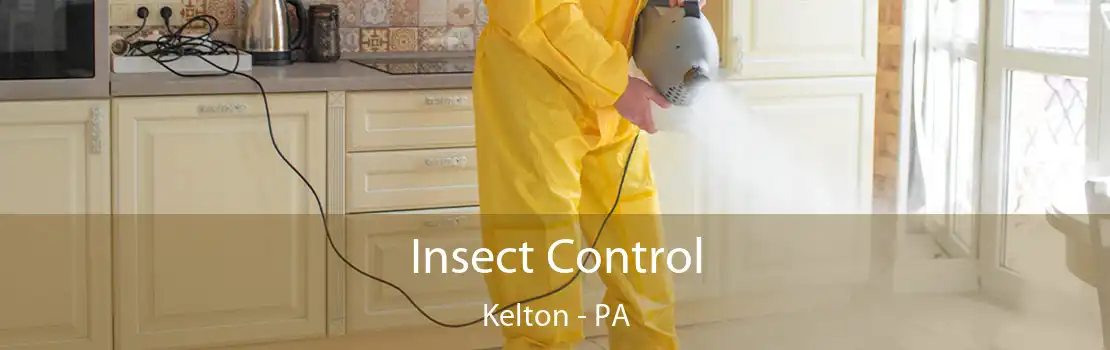 Insect Control Kelton - PA