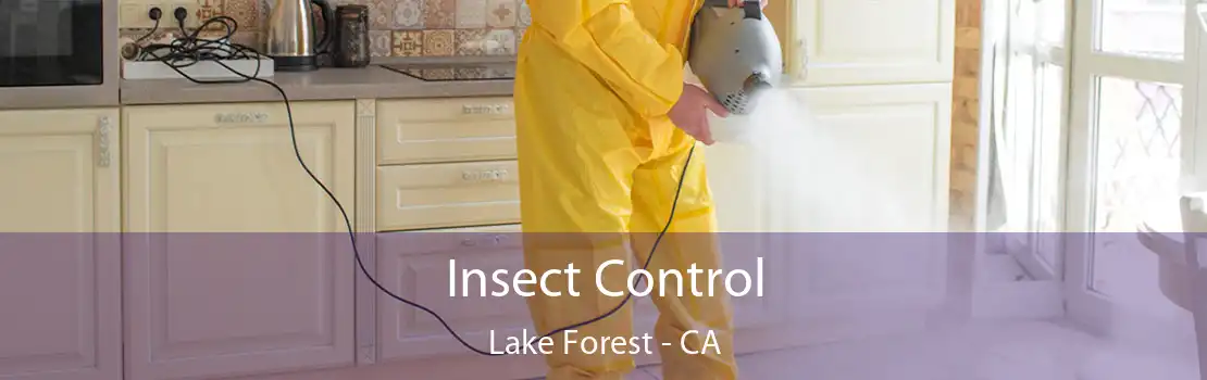 Insect Control Lake Forest - CA