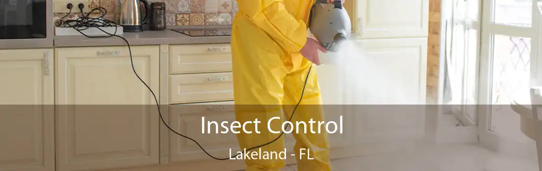 Insect Control Lakeland - FL