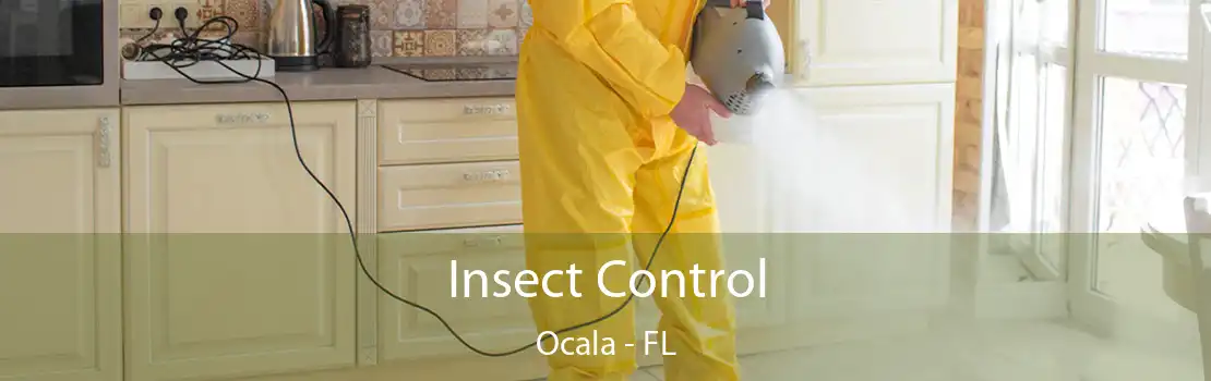 Insect Control Ocala - FL