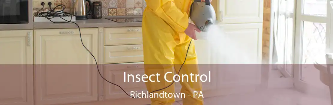 Insect Control Richlandtown - PA