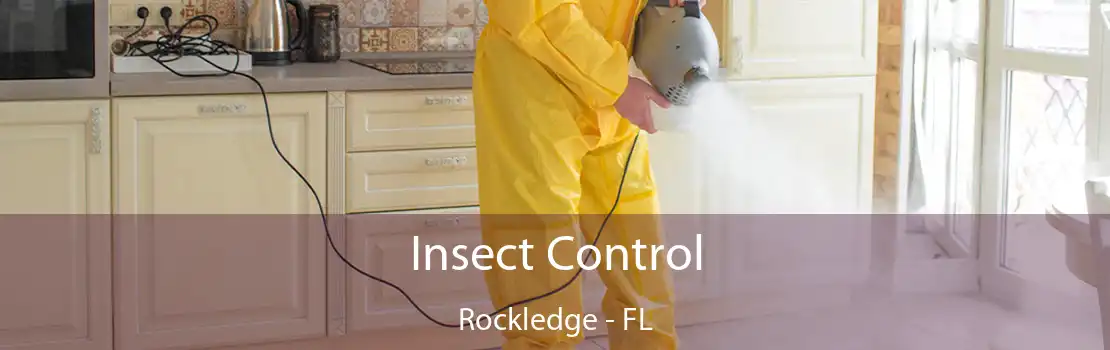 Insect Control Rockledge - FL