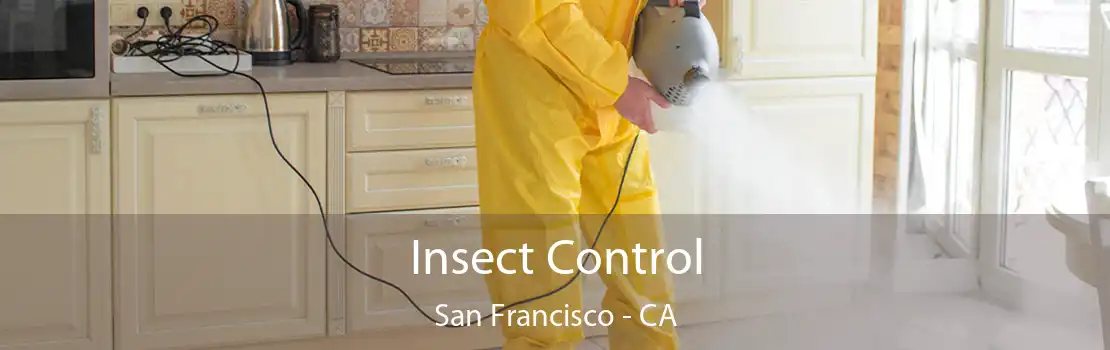 Insect Control San Francisco - CA