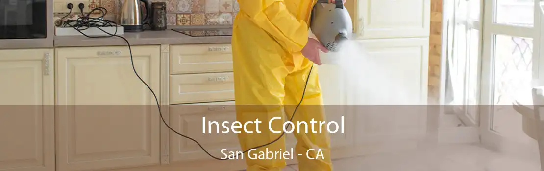 Insect Control San Gabriel - CA