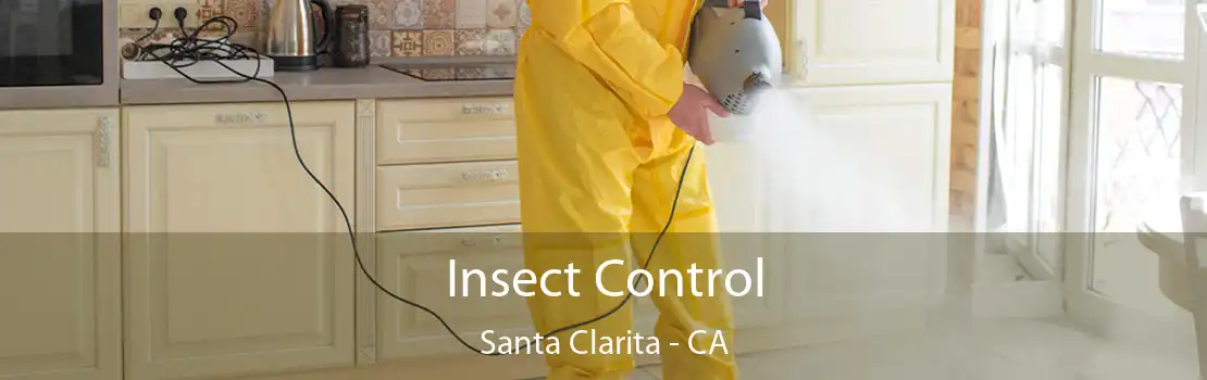 Insect Control Santa Clarita - CA